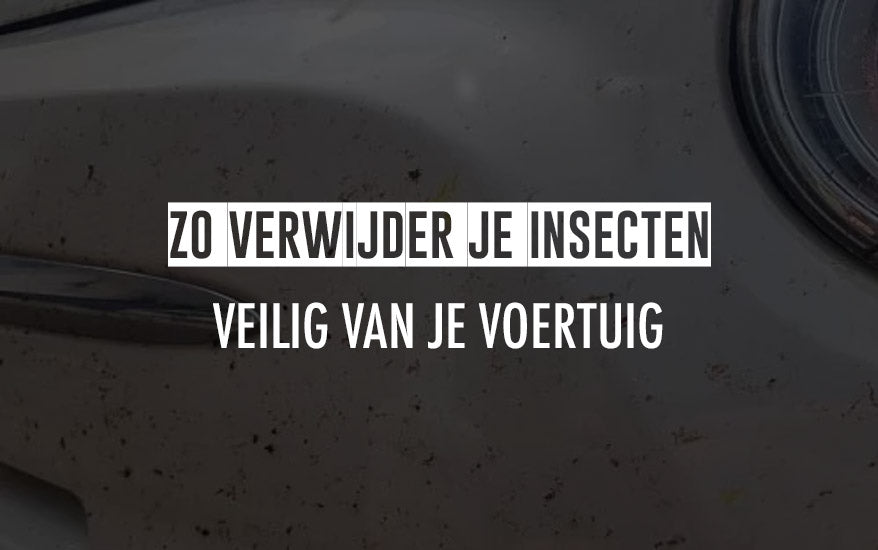 Zo verwijder je veilig insecten van je voertuig - Detailaddicts